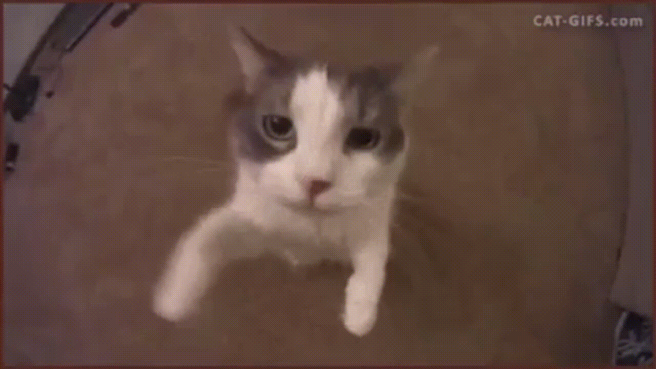 Kiss GIF
